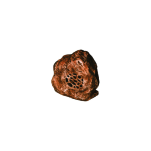 RS-62