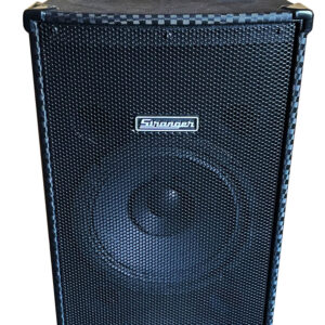 PM25 - Vocal, Guitar & MP3 Player with Cordless Microphone