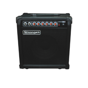 NS30E - GUITAR & KEYBOARD